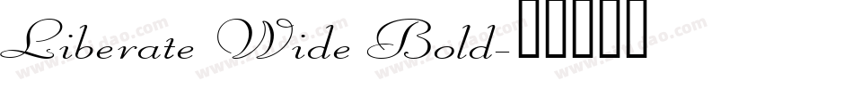 Liberate Wide Bold字体转换